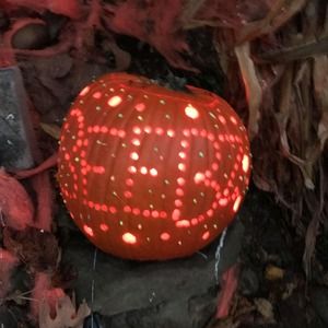 Meet your Posher, Patty